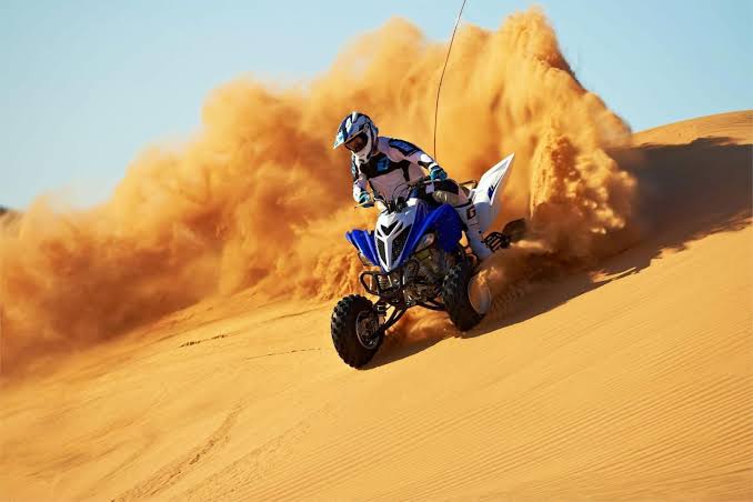 Safari Dubai with Raptor Deal desert safari